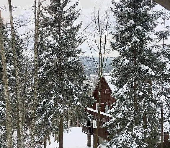 Zielarnia Dom Gościnny - Sauna